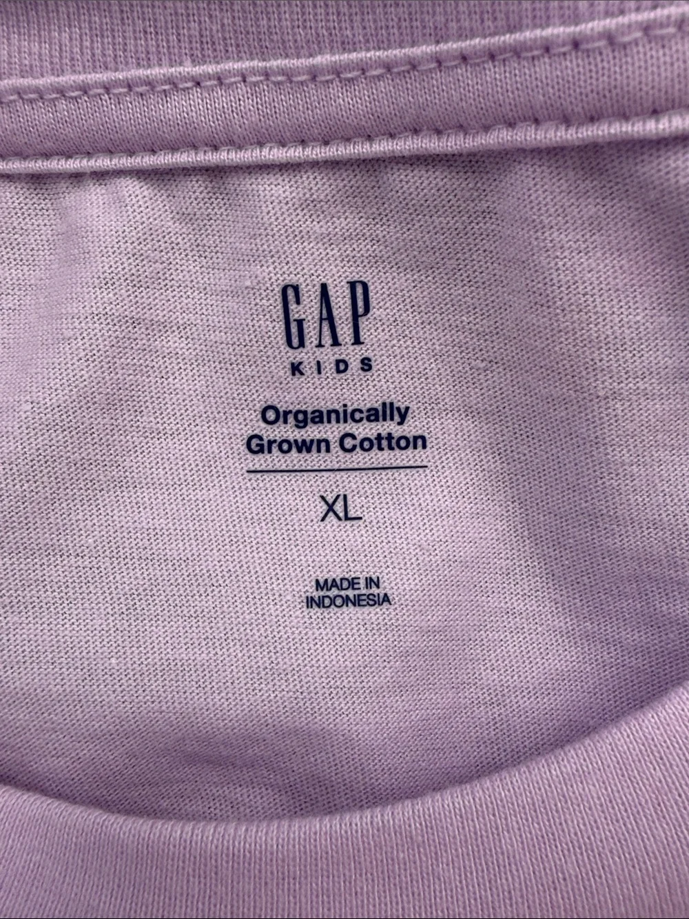 GAP Kids 100% Organic Cotton Graphic Tee